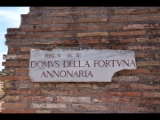 08197 ostia - regio v - insula ii - domus della fortuna annonaria (v,ii,8) - schild.jpg